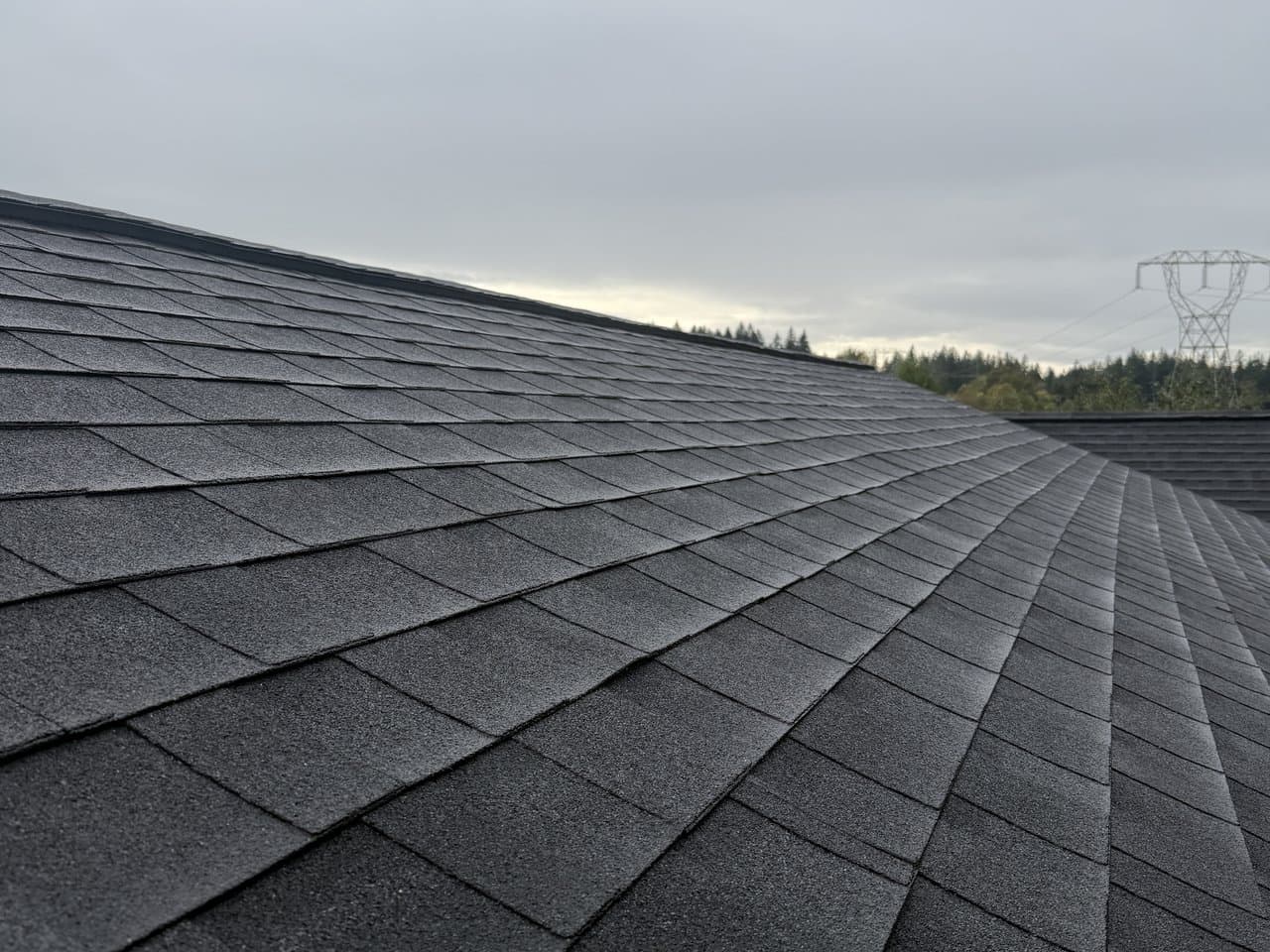A composition shingle roof restored and moss-free after a Brisk soft wash