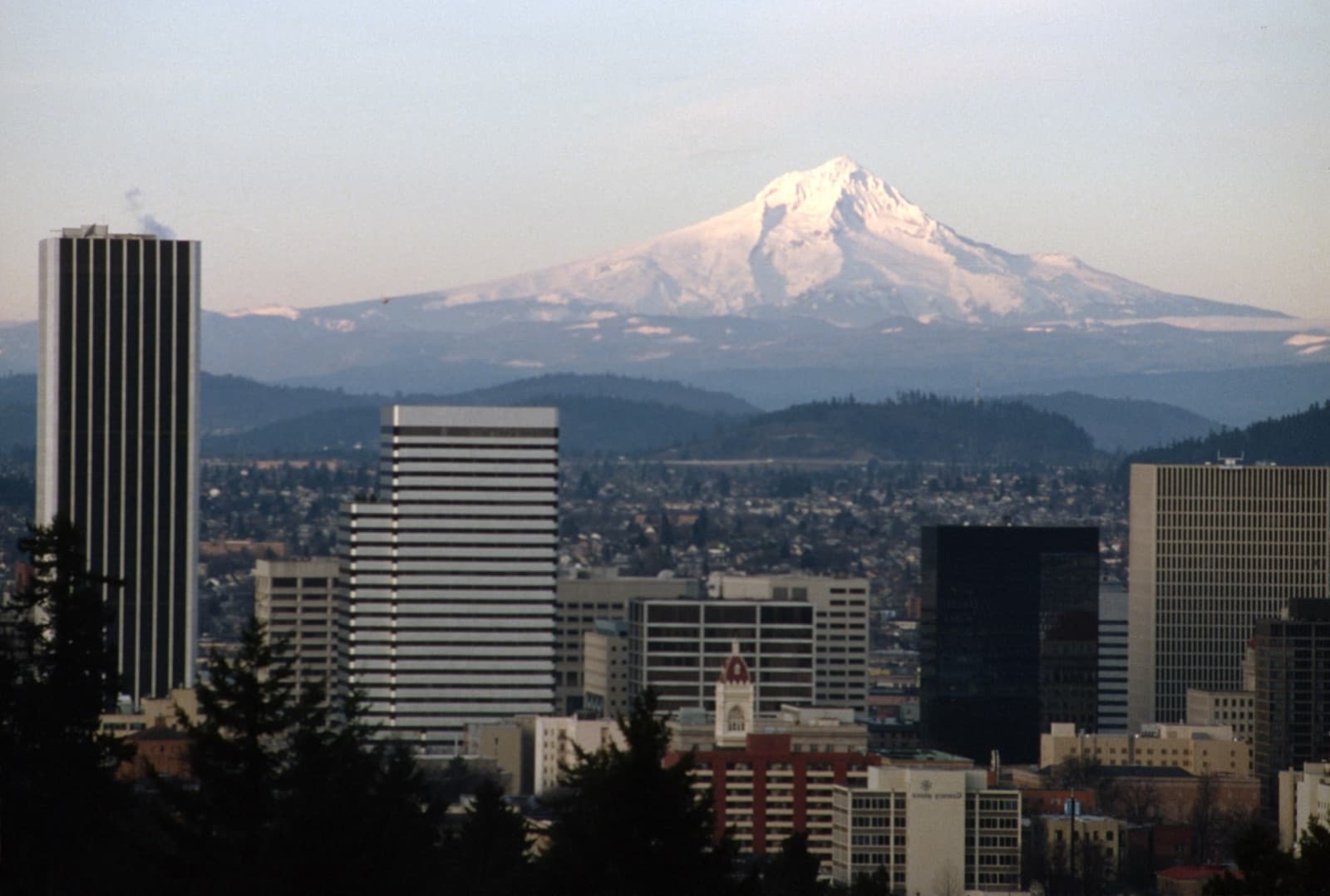 Brisk Roof & Gutter Cleaning serving Multnomah County, OR
