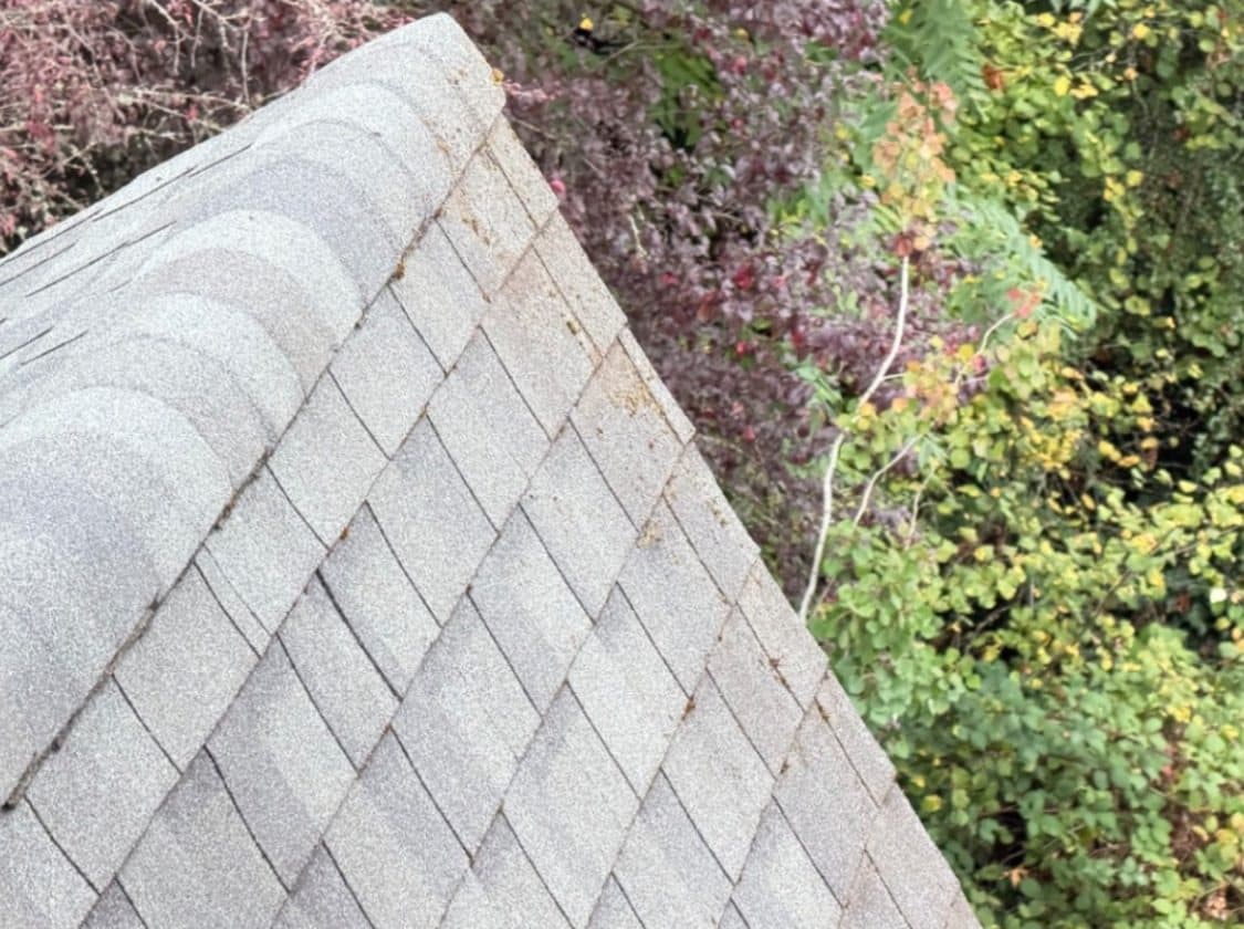 The same asphalt shingle roof clean and even after a Brisk soft wash