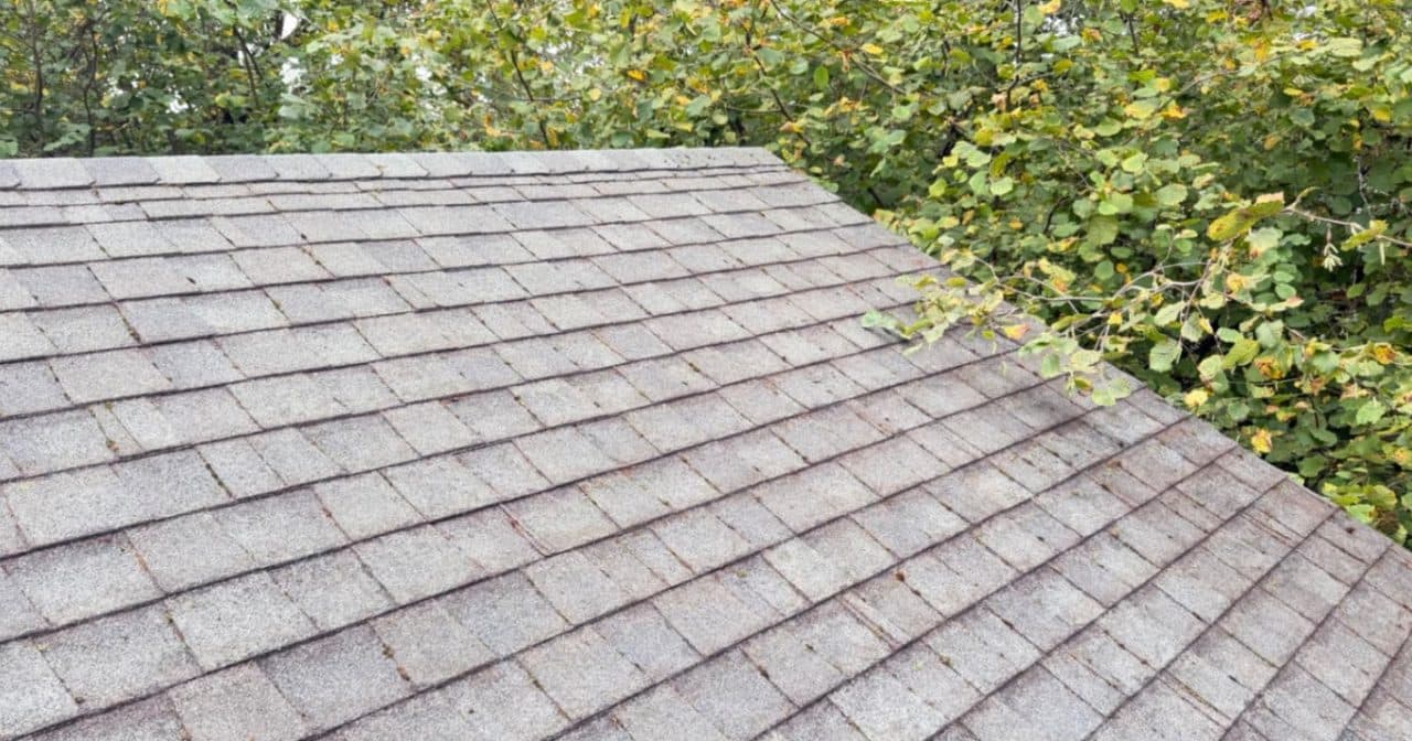 The same roof clear of moss with clean, even shingle lines after treatment