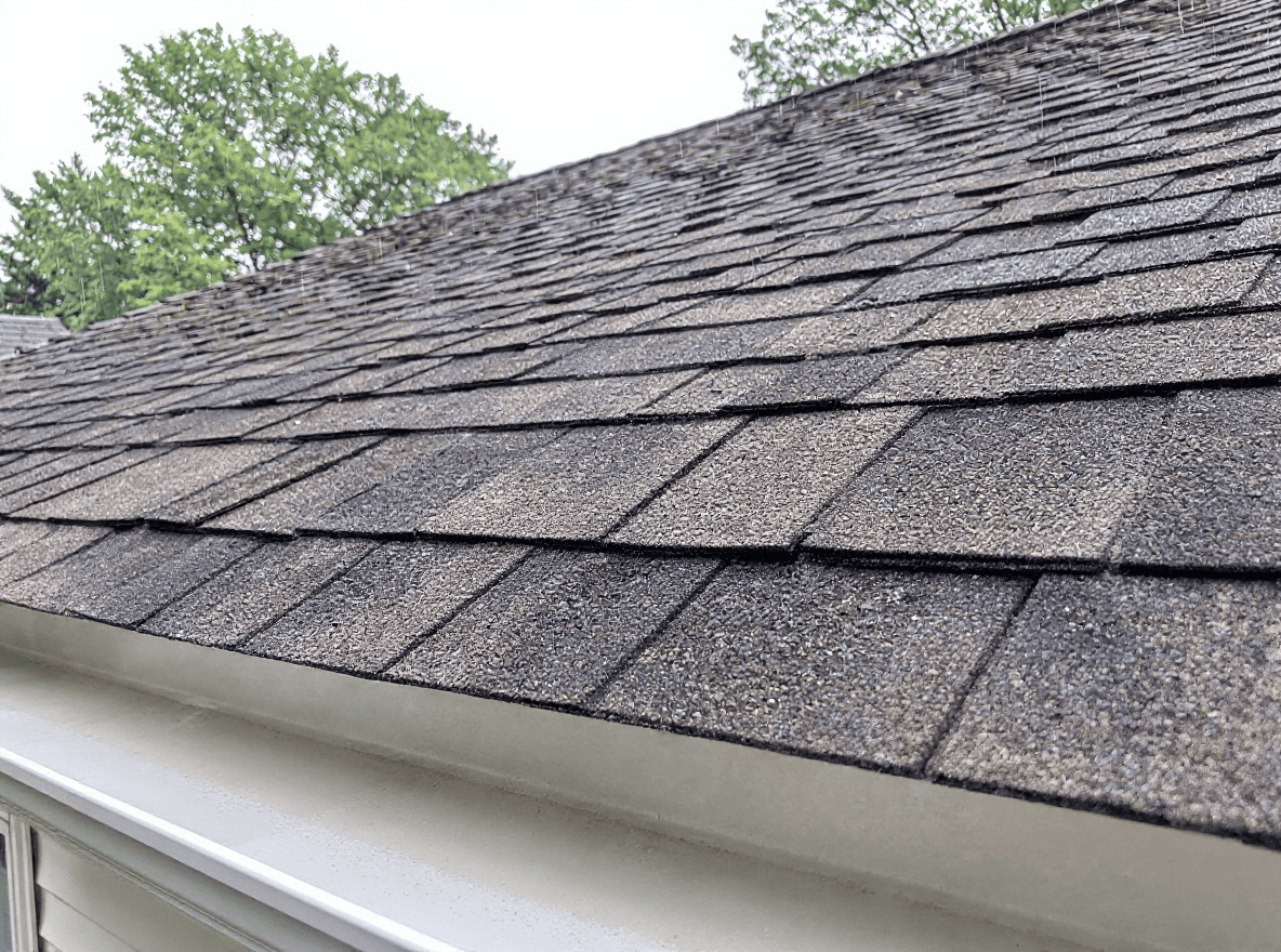 The same roof clean and even after a Brisk soft wash