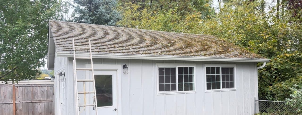 A home's roof dark with moss and black streaks before cleaning
