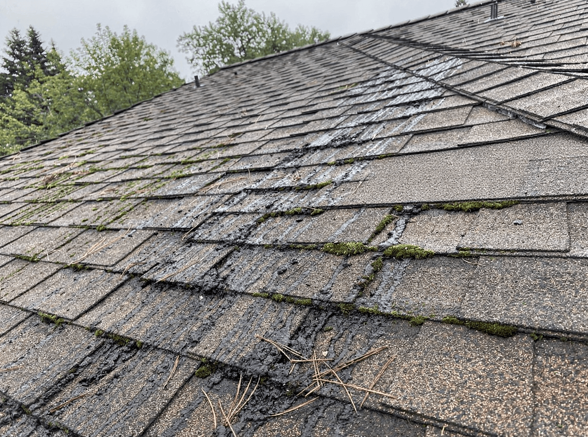 Asphalt Shingle Roof Cleaning results by Brisk Roof & Gutter Cleaning in the Portland–Vancouver metro