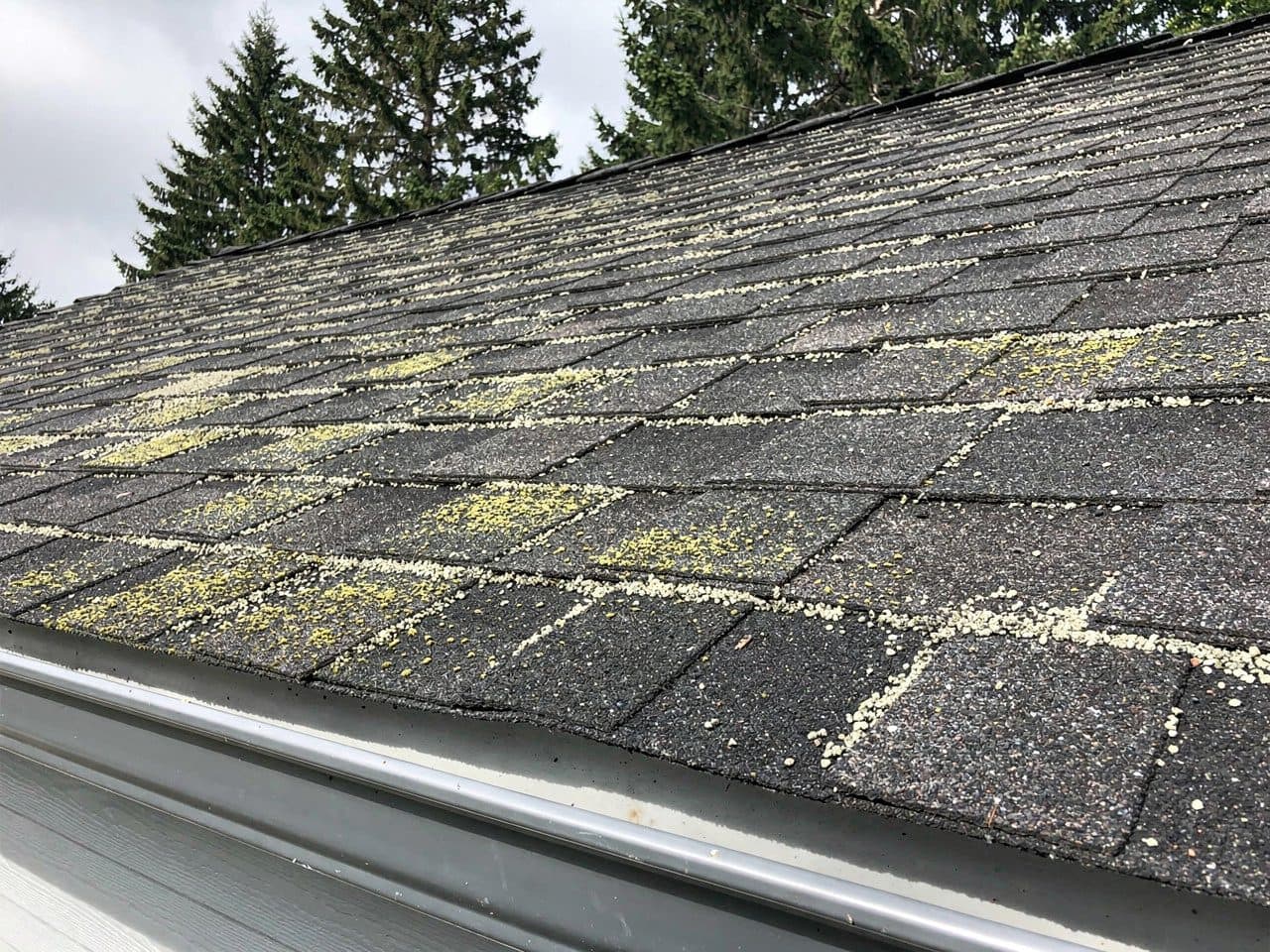 Moss Treatment results by Brisk Roof & Gutter Cleaning in the Portland–Vancouver metro