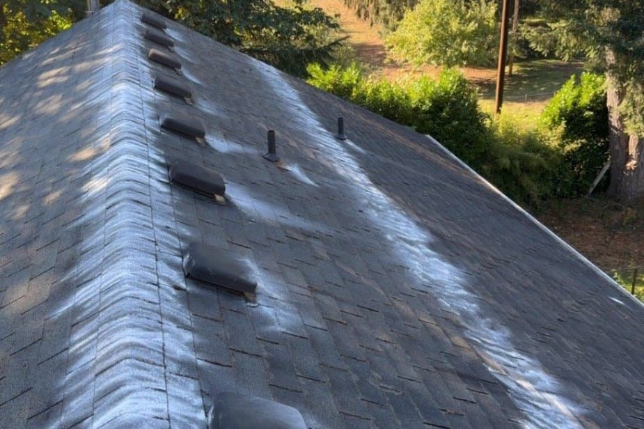 Moss Treatment by Brisk Roof & Gutter Cleaning