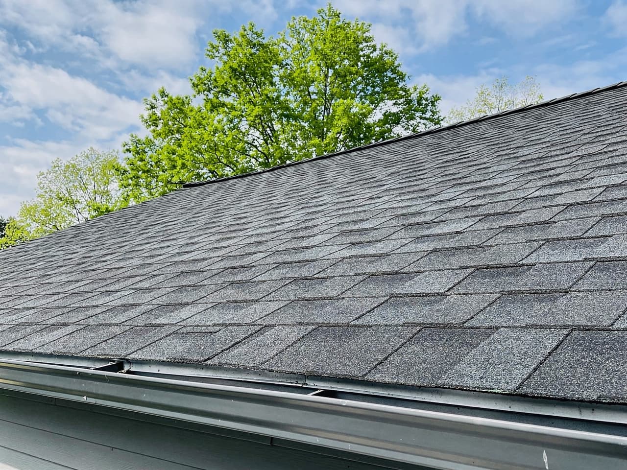 Roof Cleaning by Brisk Roof & Gutter Cleaning