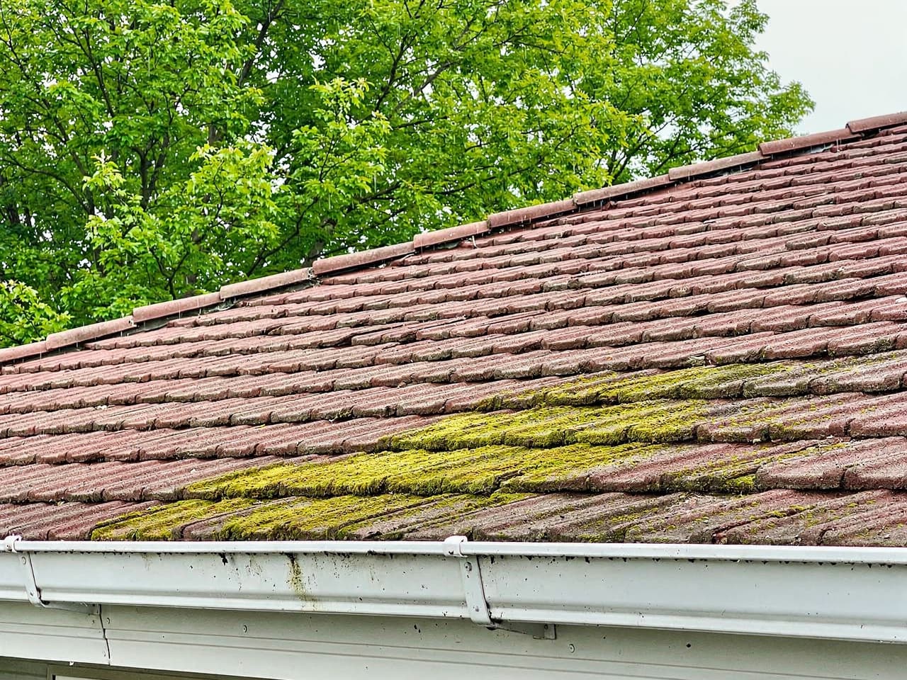 Tile Roof Cleaning results by Brisk Roof & Gutter Cleaning in the Portland–Vancouver metro
