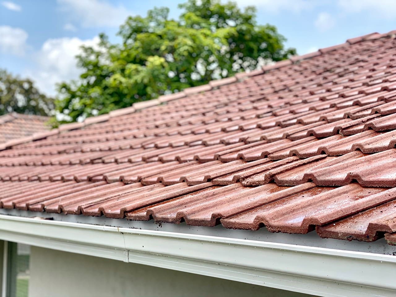 Tile Roof Cleaning by Brisk Roof & Gutter Cleaning
