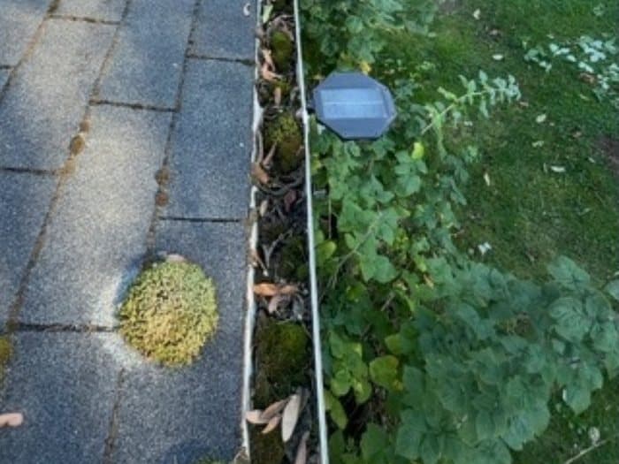 Gutter Cleaning before: A weed- and moss-choked gutter cleared out and flowing freely again.