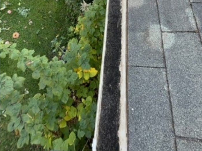 Gutter Cleaning after: A gutter packed with overgrowth emptied and flushed clean, down to the trough.
