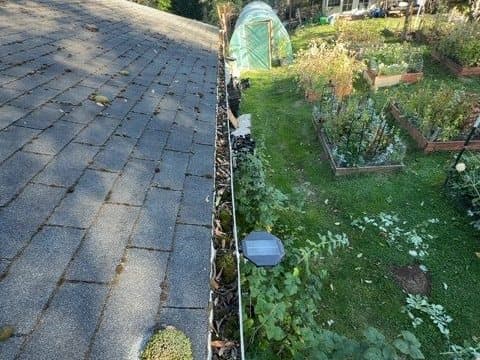 Gutter Cleaning before: A debris-filled roof edge and gutter line cleaned out from end to end.
