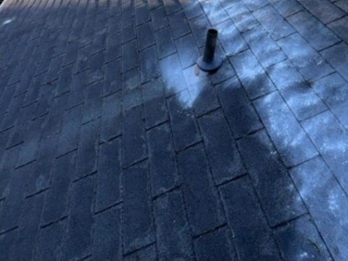 Roof Cleaning after: Years of moss and leaf debris soft-washed off a composition shingle roof.