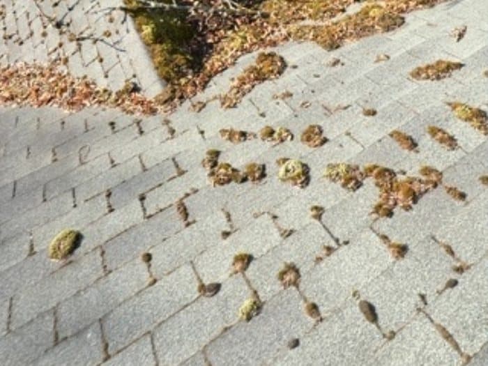 Roof Cleaning before: A moss-covered ridge cleared, treated, and rinsed back to a clean surface.