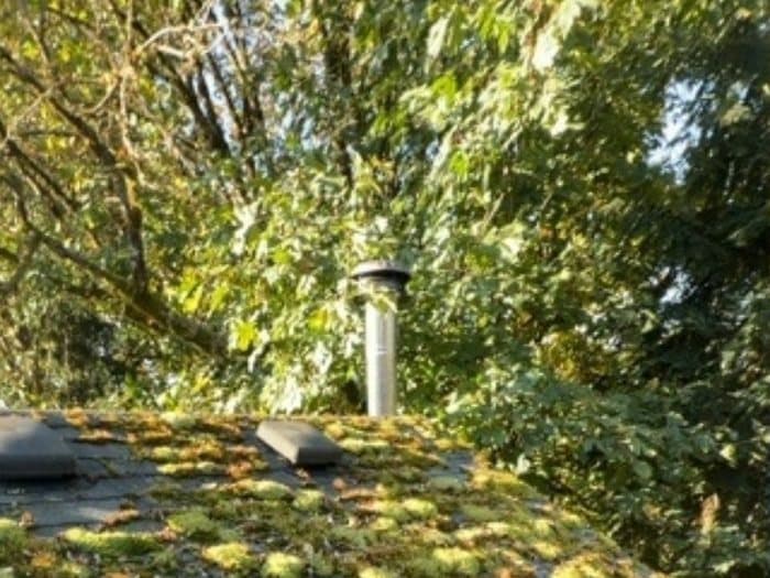 Roof Cleaning before: A moss-streaked roof restored with a gentle, roof-safe soft wash.