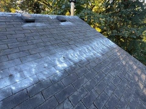 Roof Cleaning after: A leaf-covered, mossy roof washed evenly back to clean shingles.