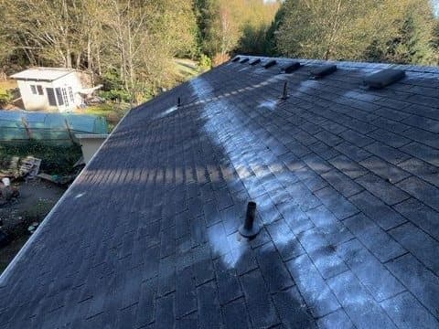 Roof Cleaning after: A full roof slope soft-washed free of moss and algae in a single visit.